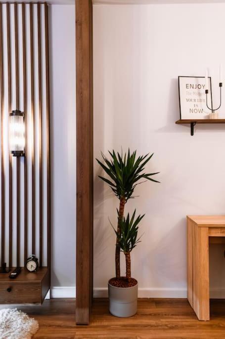 Eliss Studio Sinaia Buitenkant foto
