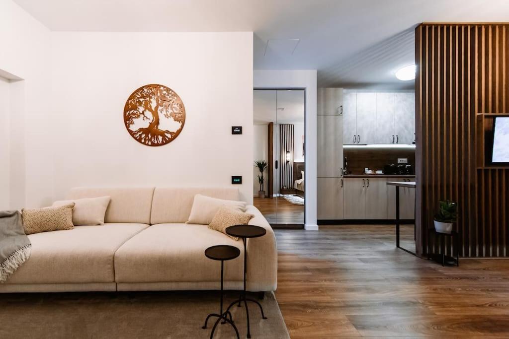 Eliss Studio Sinaia Buitenkant foto