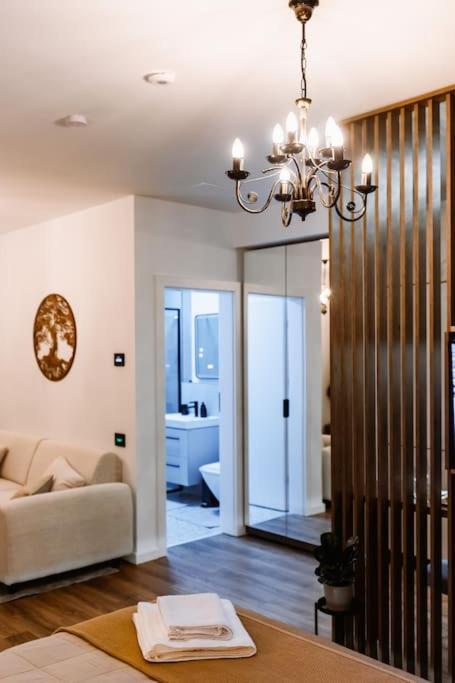 Eliss Studio Sinaia Buitenkant foto