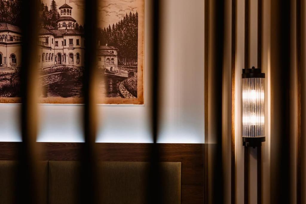 Eliss Studio Sinaia Buitenkant foto
